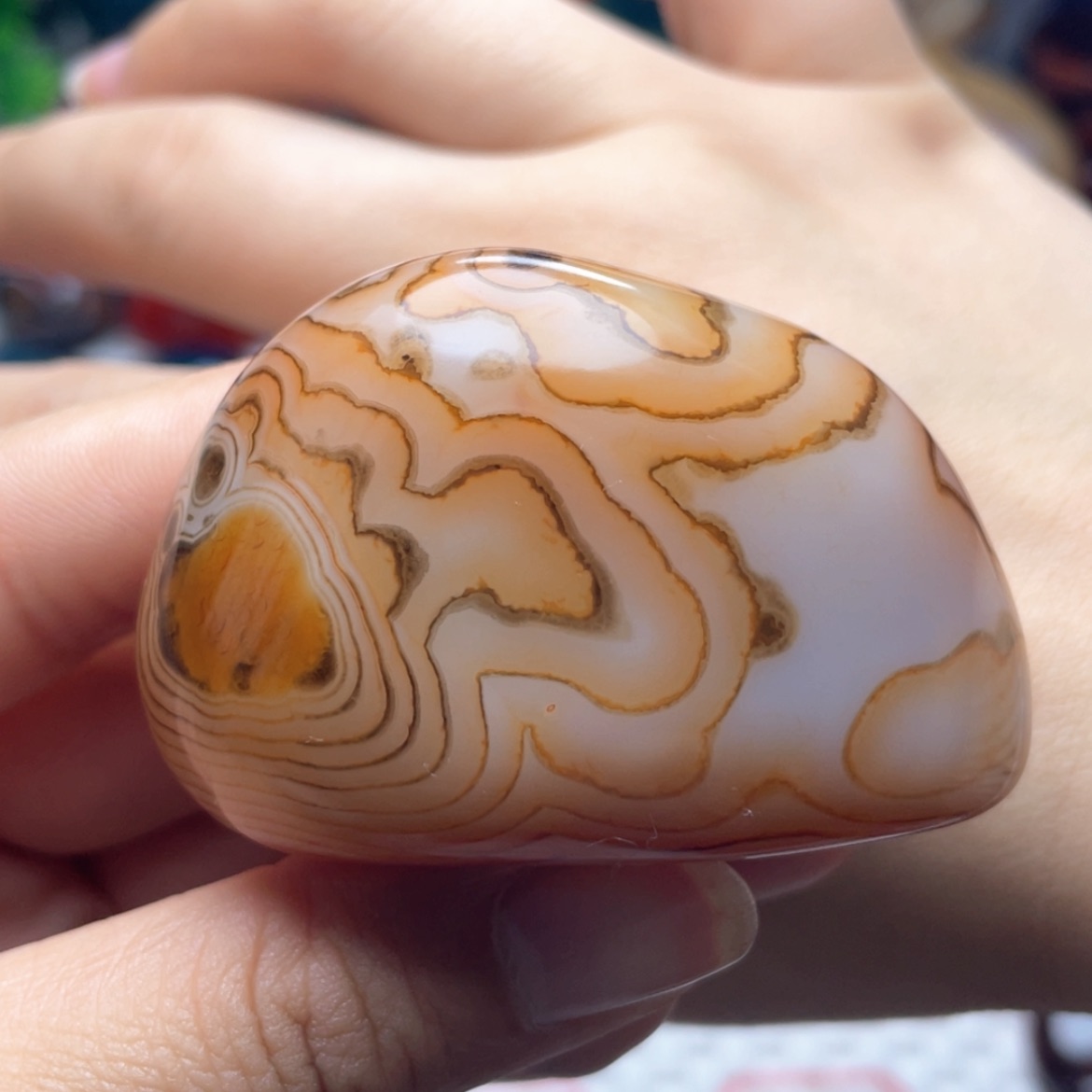 【闪购商品】未镶嵌玛瑙/玉髓珠宝奇石