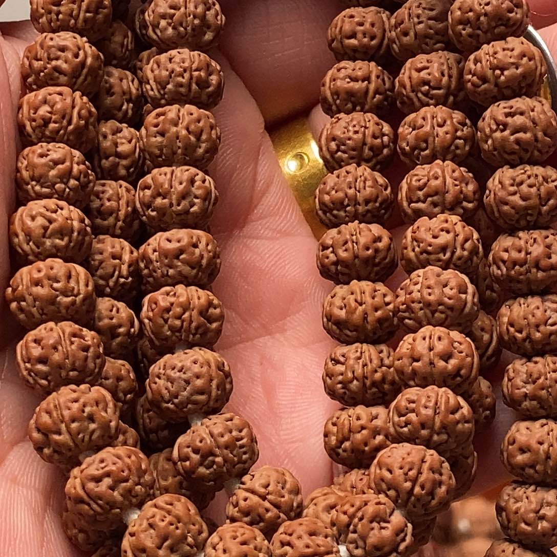 吊坠金刚菩提伊*纯血老树王9