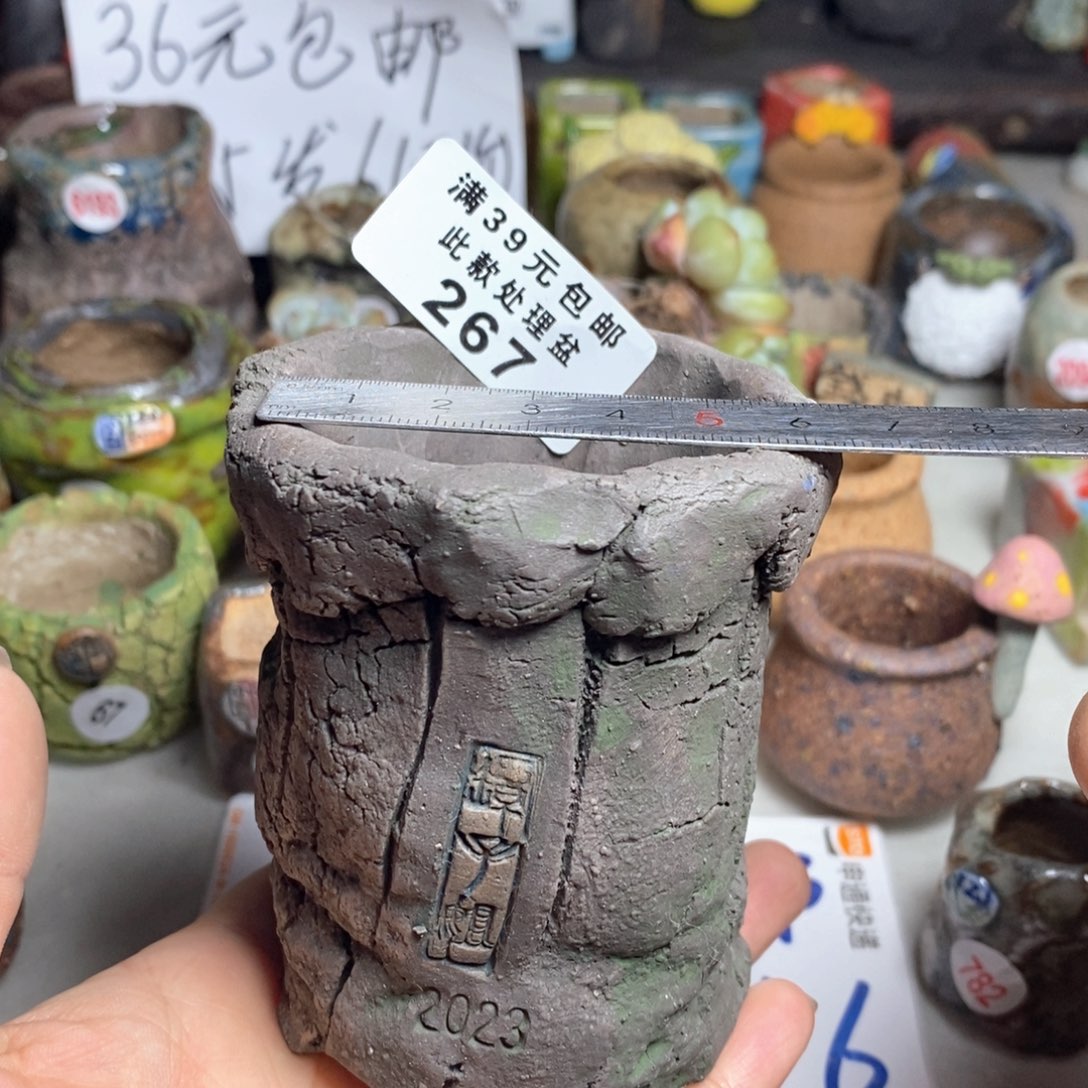 拍5送一个小礼物