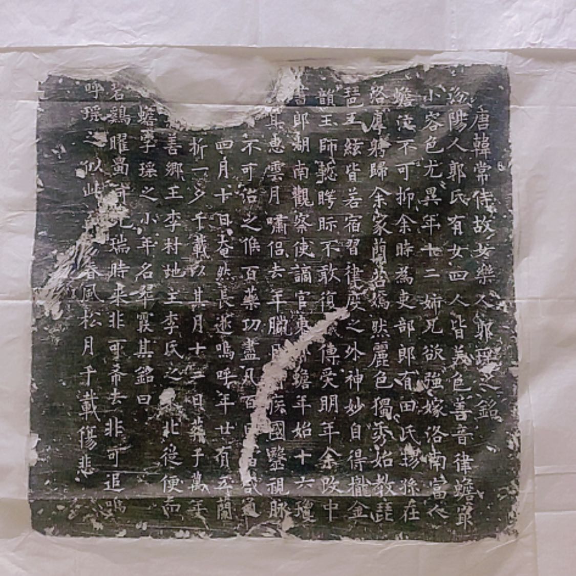 【闪购商品】拓片用纸其他郭瑶