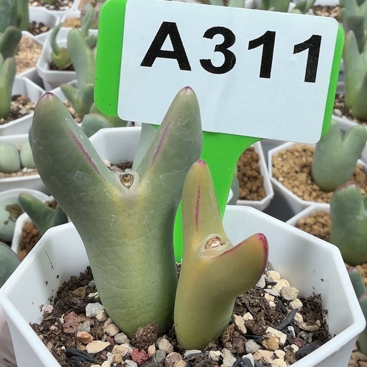 @***文311mmmmmmmnnmnnnnnnnn