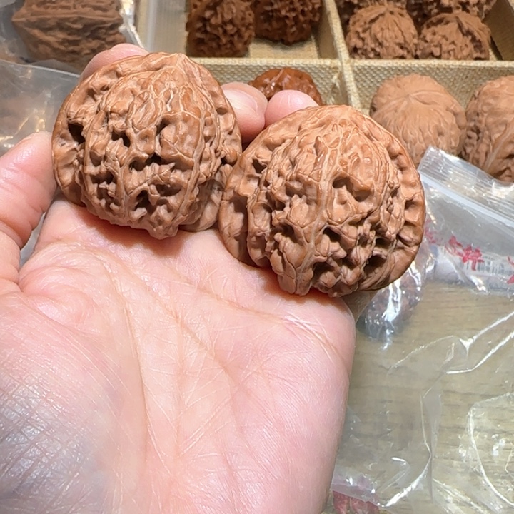 M***A文玩核桃把件白狮子41.5