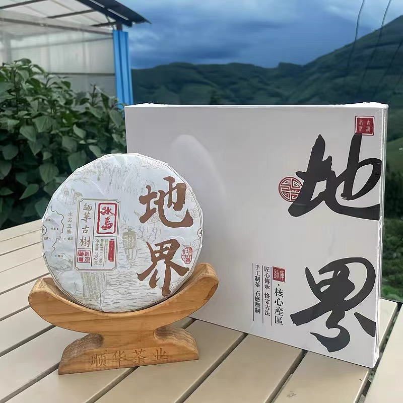 缅华古树冰岛地界2024年头春古树头春头采生茶紧压茶送礼盒