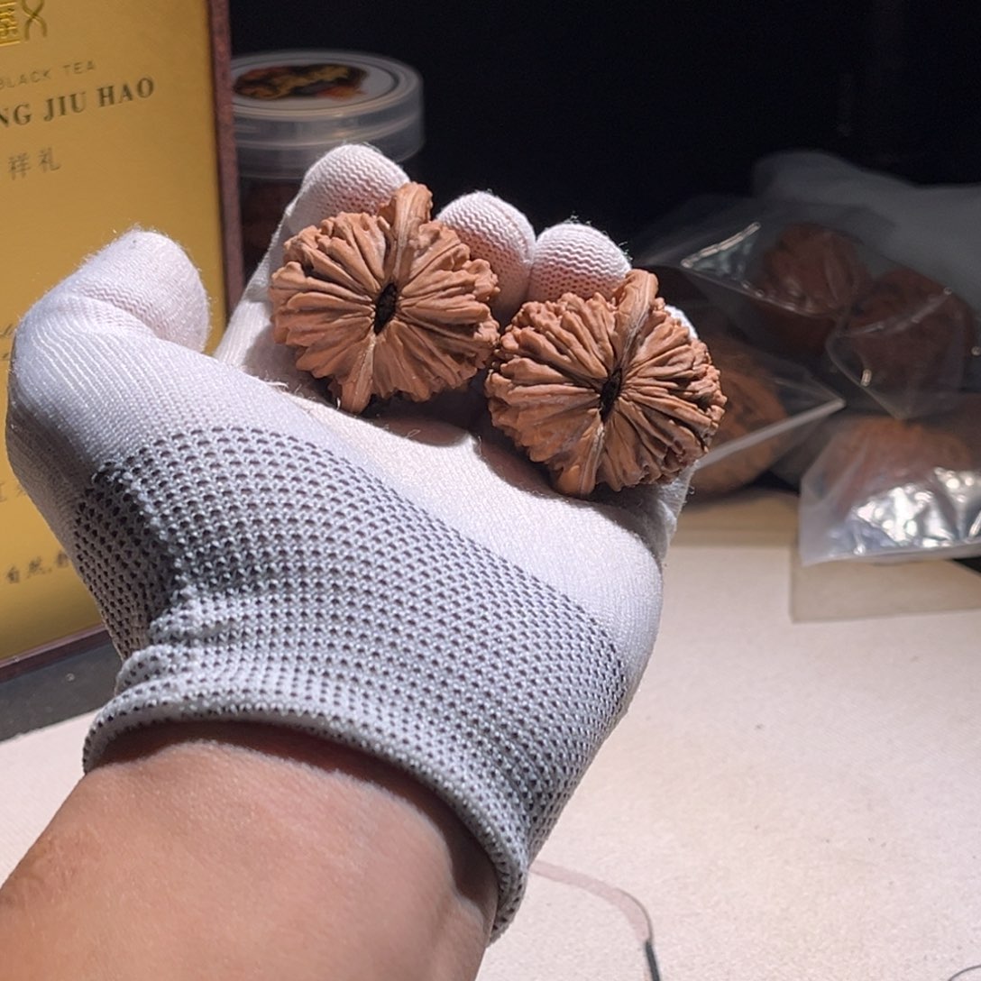 鱼***7楼子楼子楼子楼子。