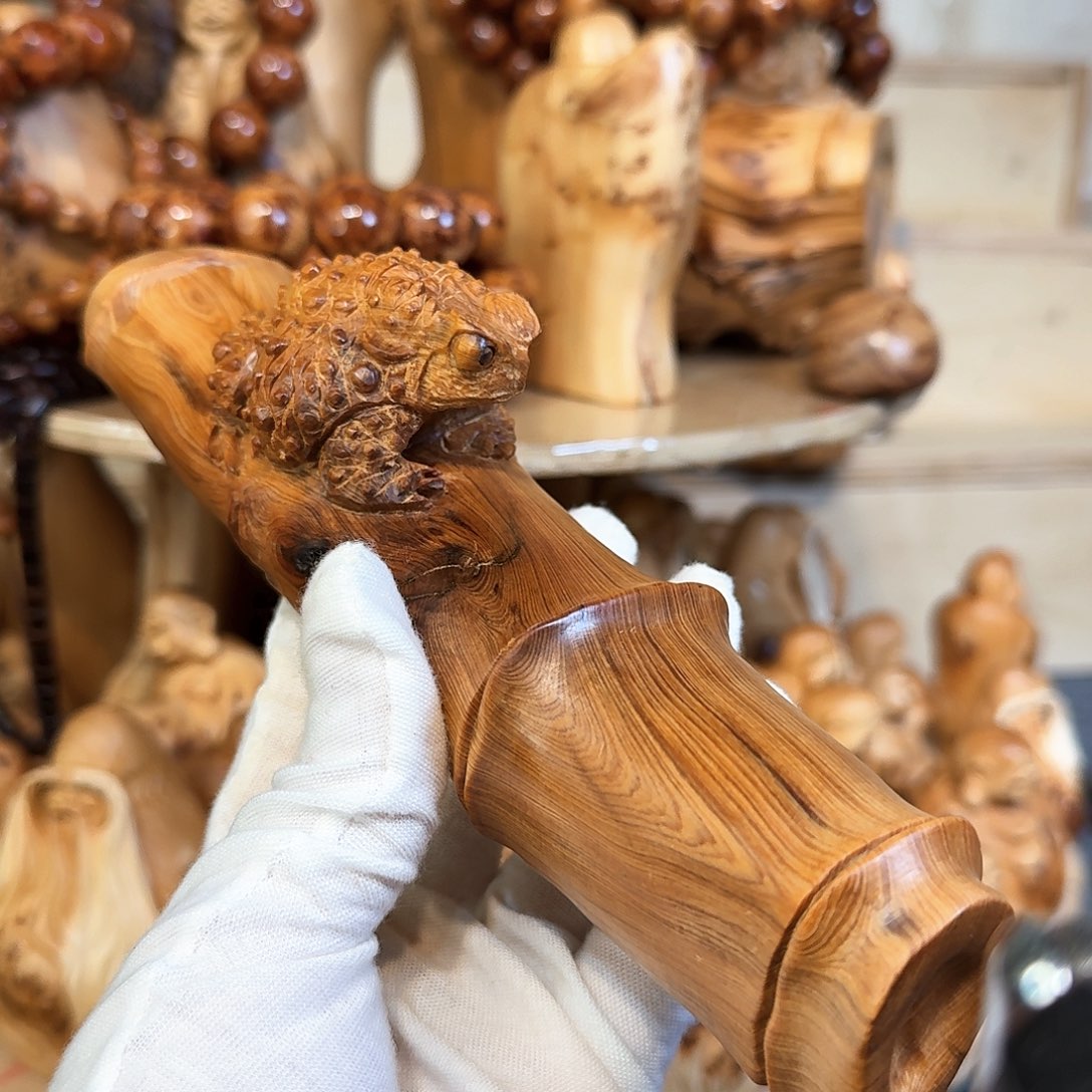 柏木（崖柏）1111111111111