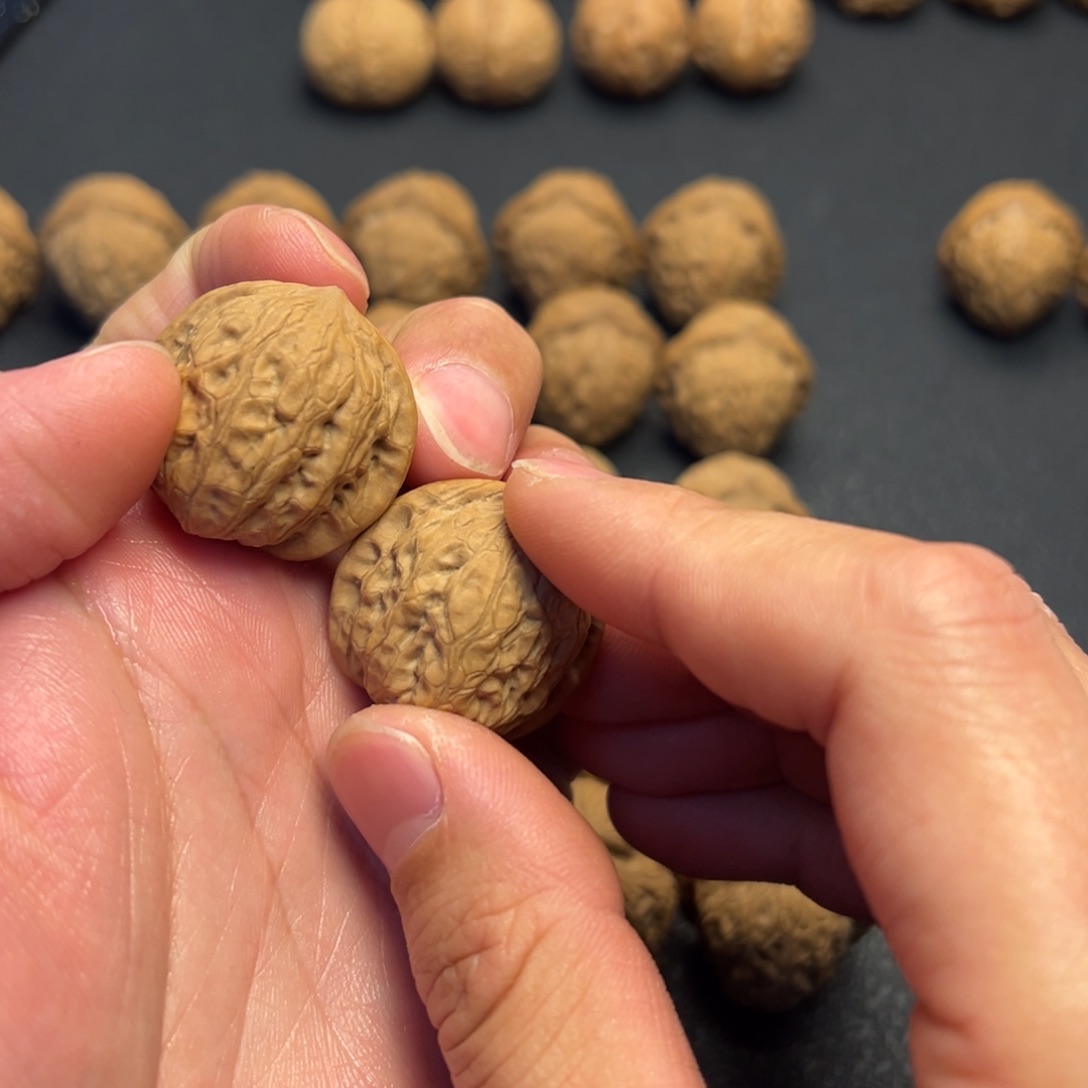 ❥***°把件文玩核桃野麻小白狮子