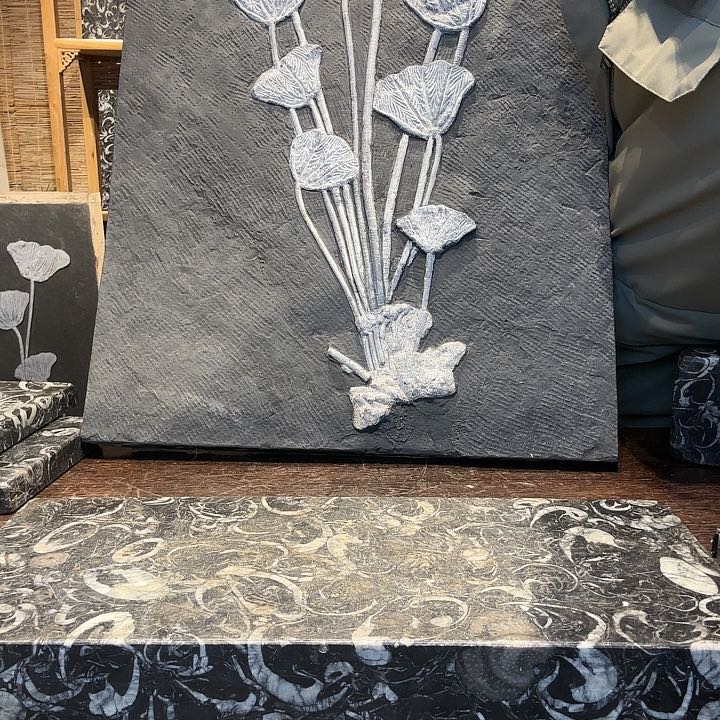 石楠木海百合摆件