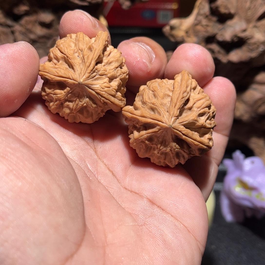 吊坠文玩核桃野生丁奔