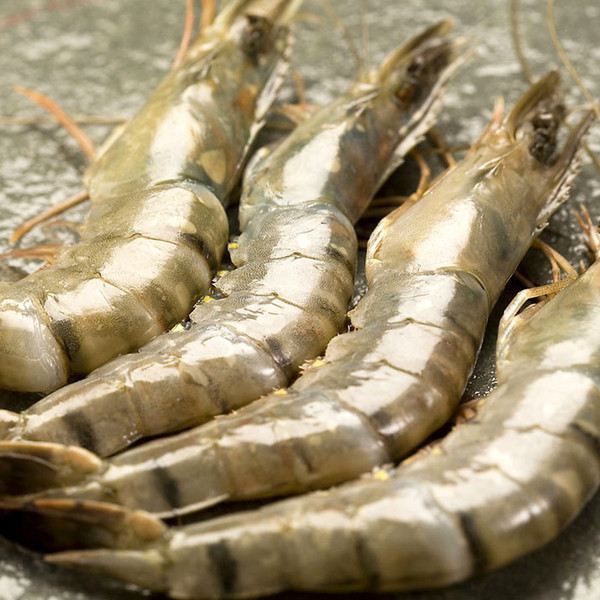 大海虾（冻）黑吉辽北京天津顺丰包邮（规格20-30）G
