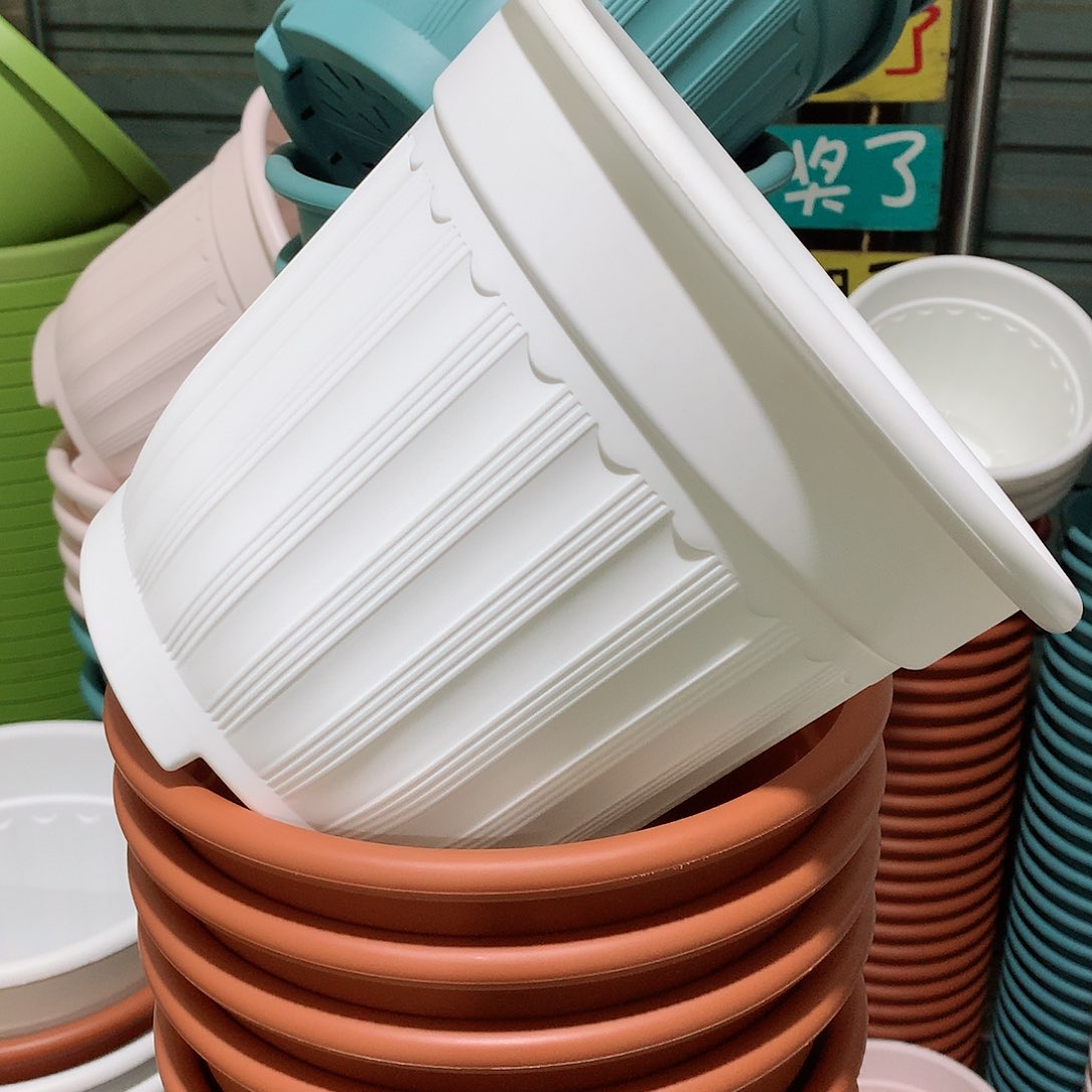 树脂罗马口28白5个无托