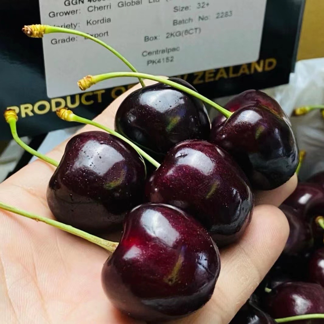 【顺丰空运】智利科迪亚kordia车厘子 JJJ-JJJJ 1-5斤装 内附果径卡