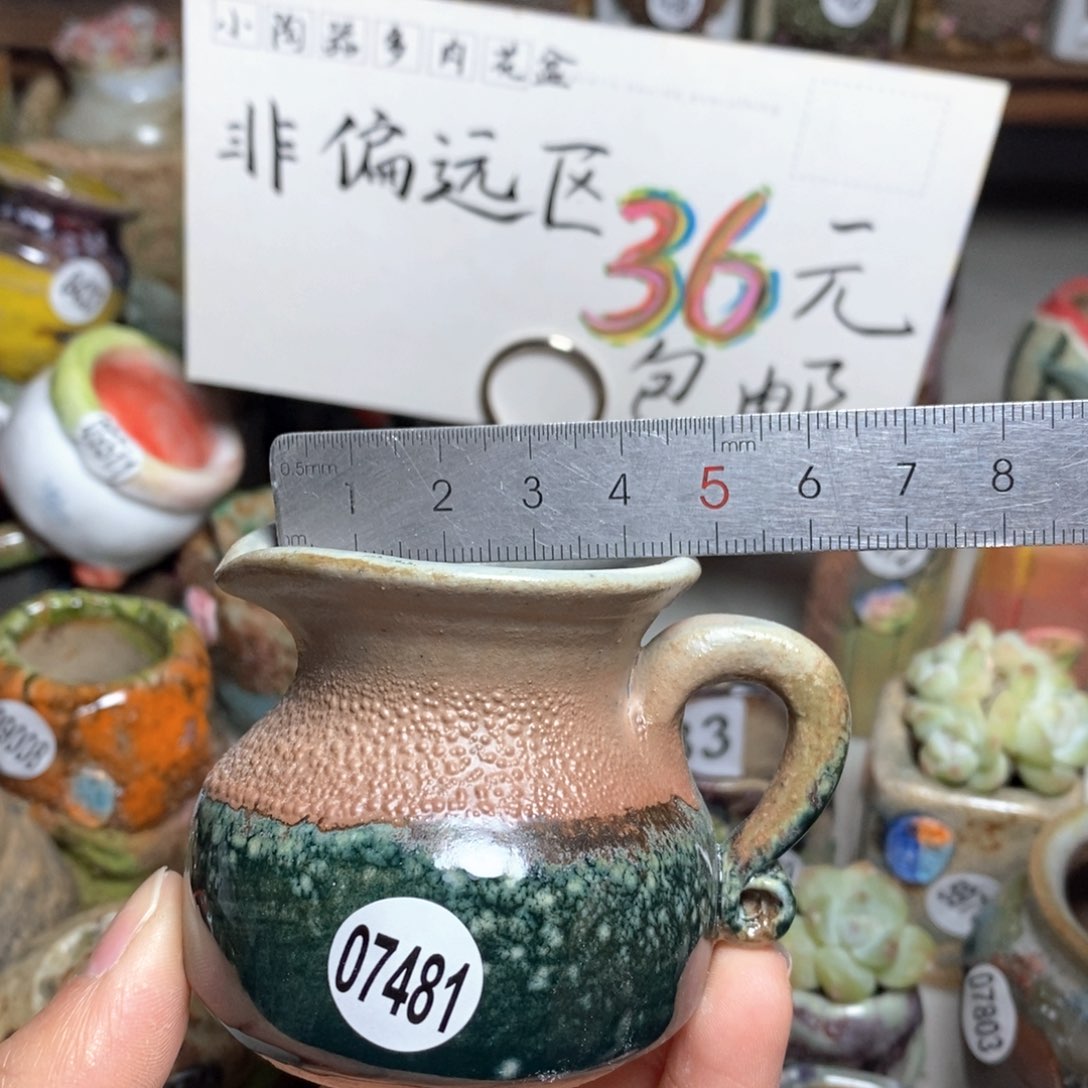 花盆拍5送一个小礼物
