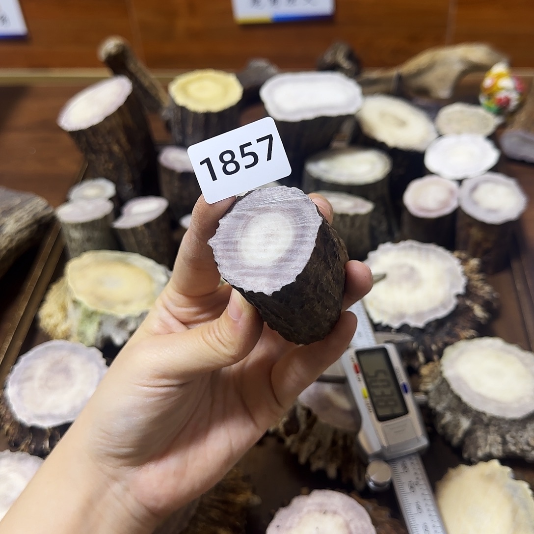 手串/手链鹿骨1857根段