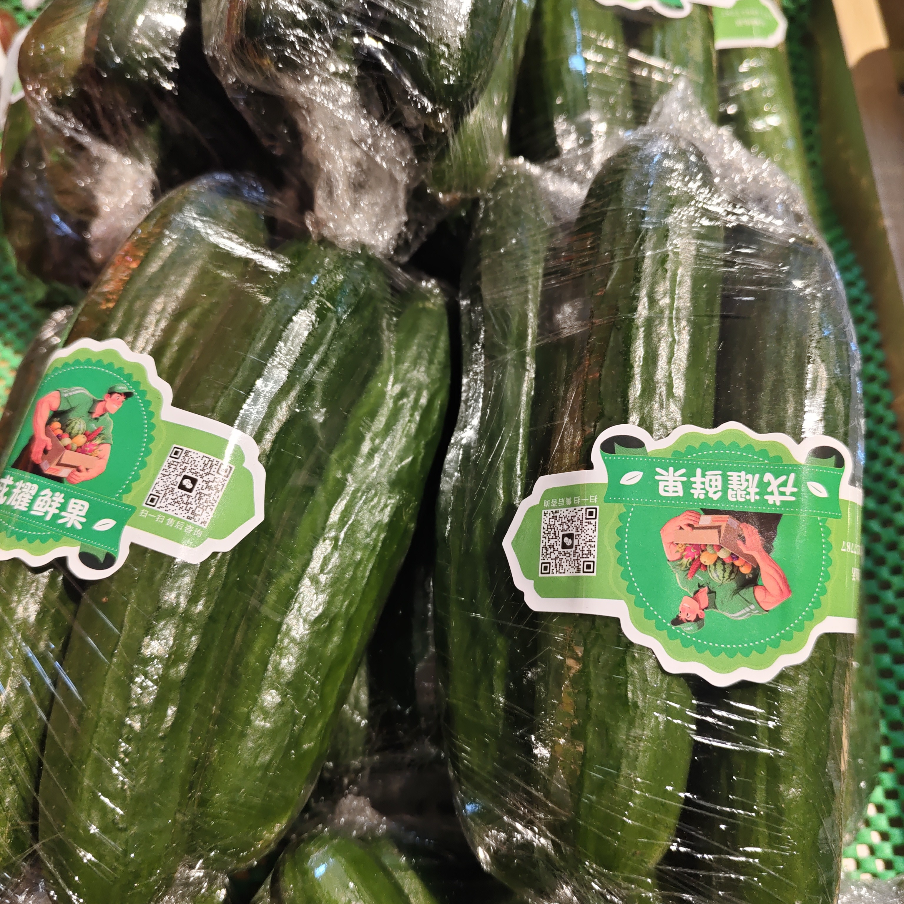 黄瓜水果小乳瓜 1斤装