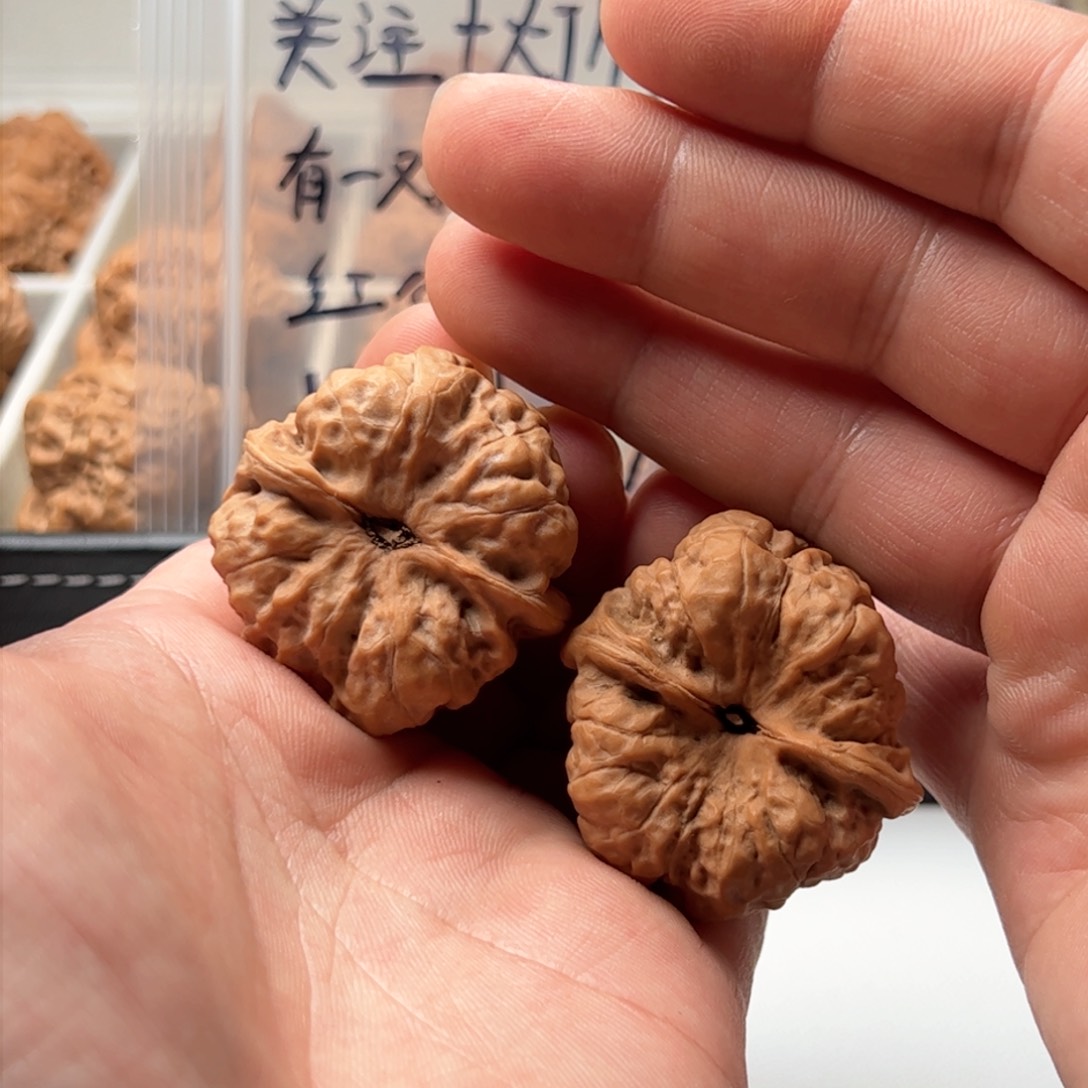 核桃把件延庆蛤蟆头