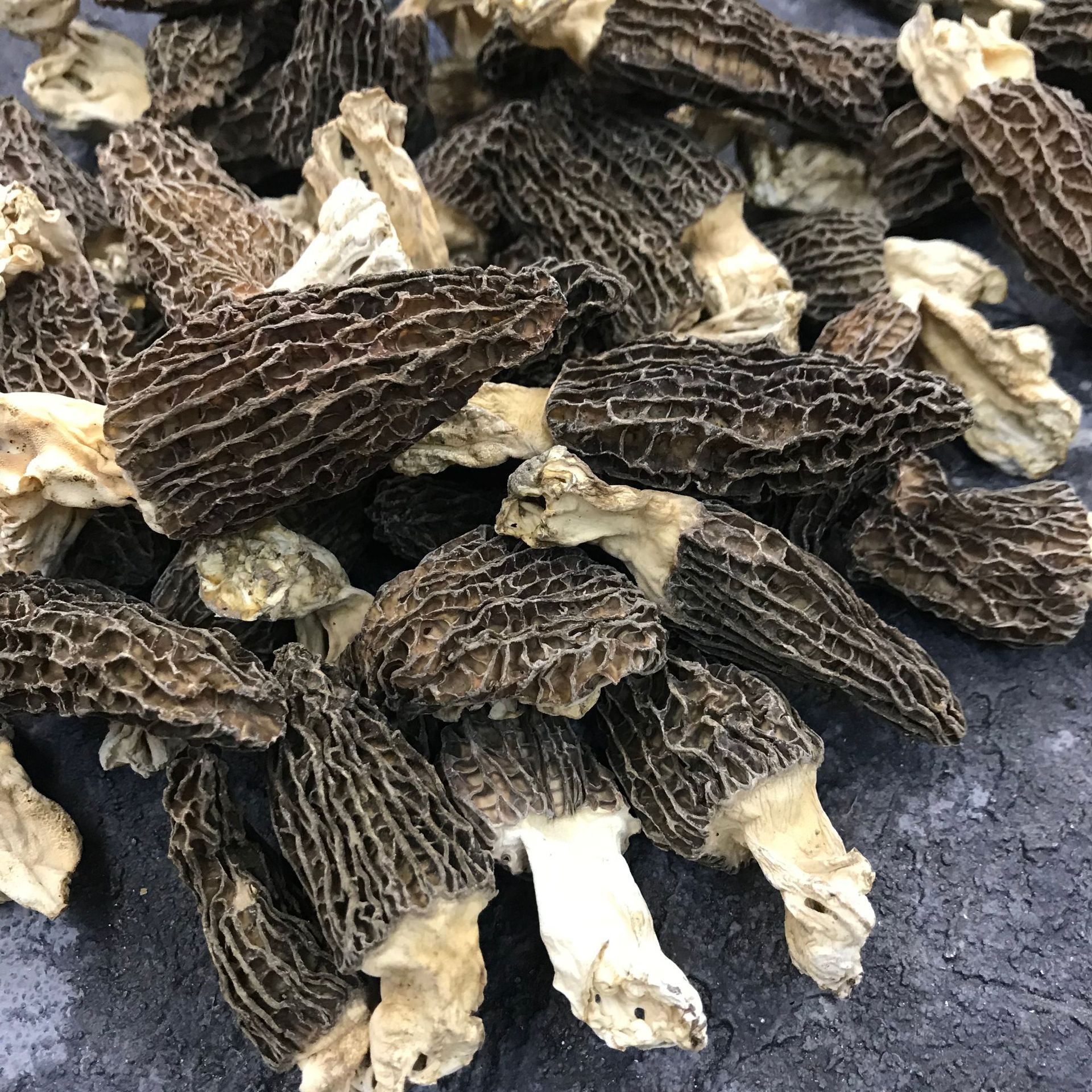 羊肚菌云南高山3 - 5公分羊肚菌干货煲汤食材土特产