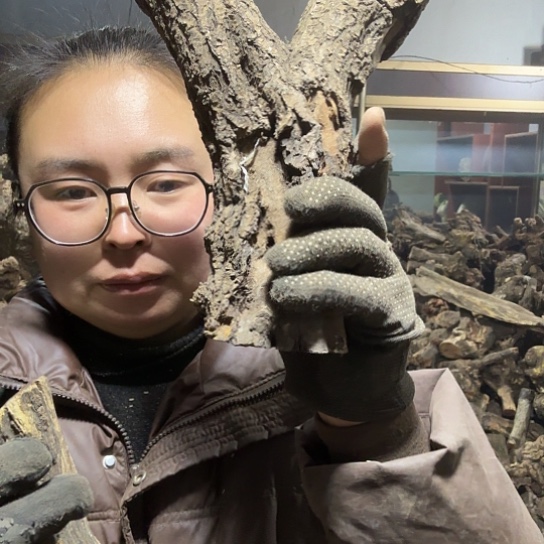 香榧木经**孩火琉璃的毛看看摆件