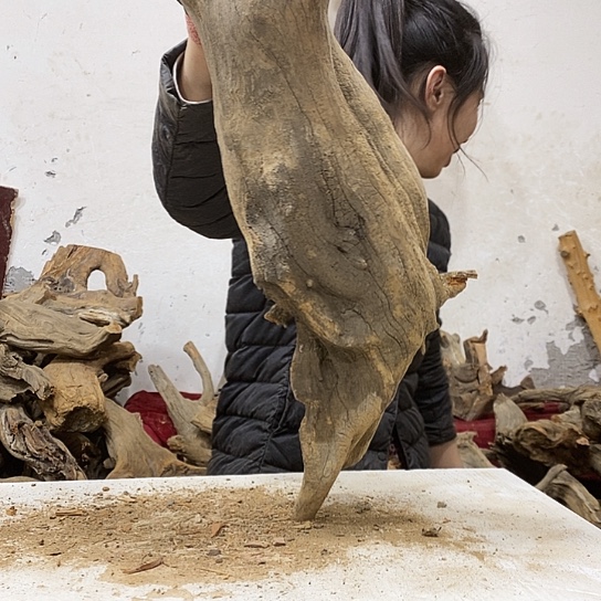 L***O柏木我们都是好孩子