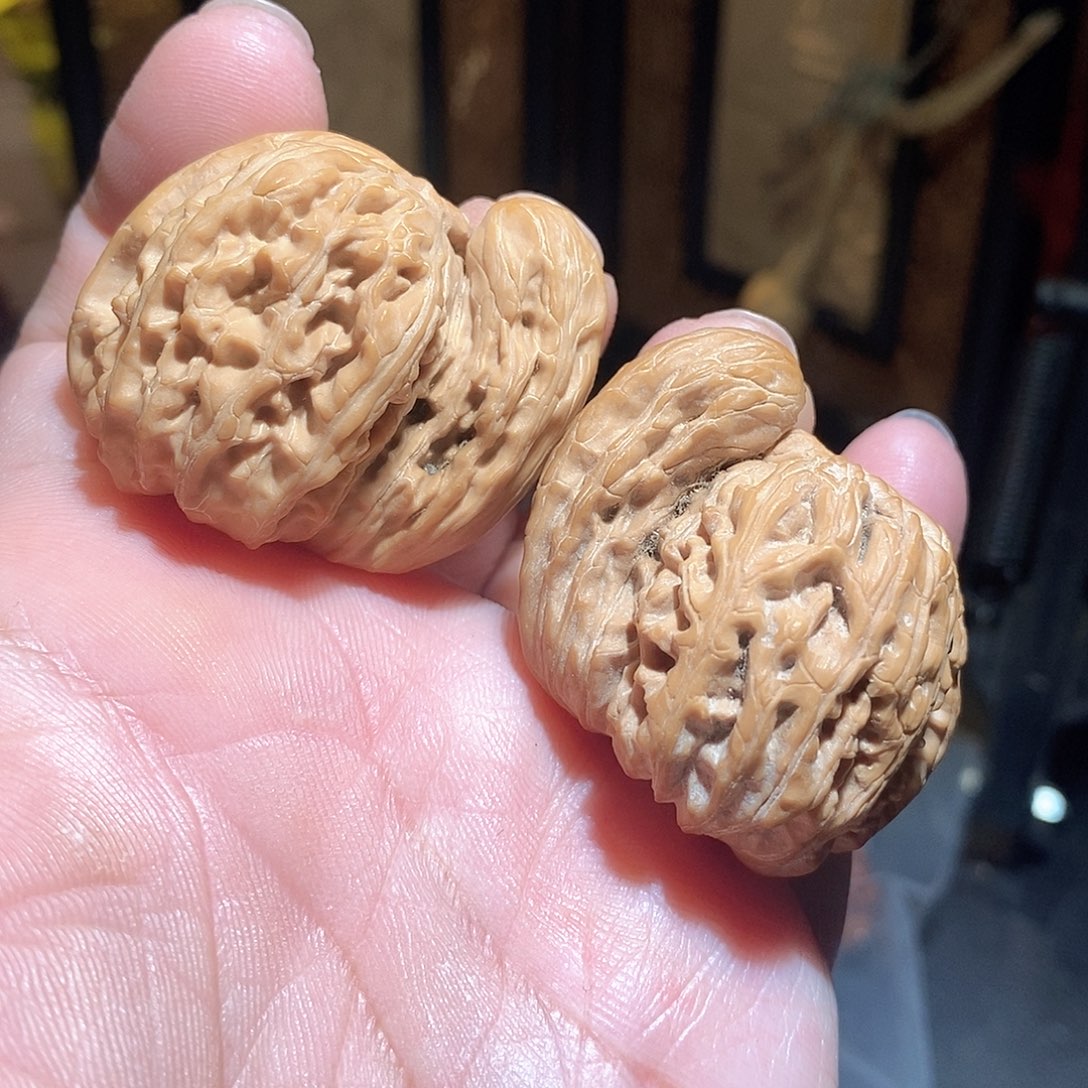 文玩核桃把件42白狮子犀牛