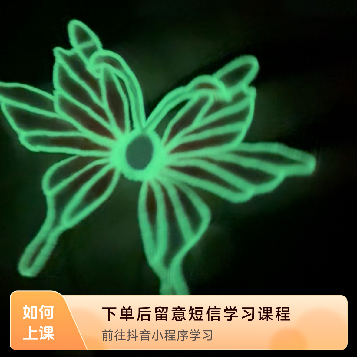 夜光蝴蝶水果用户