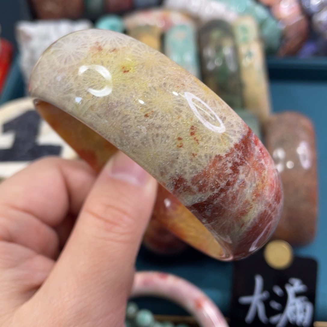 未镶嵌手镯硅化玉