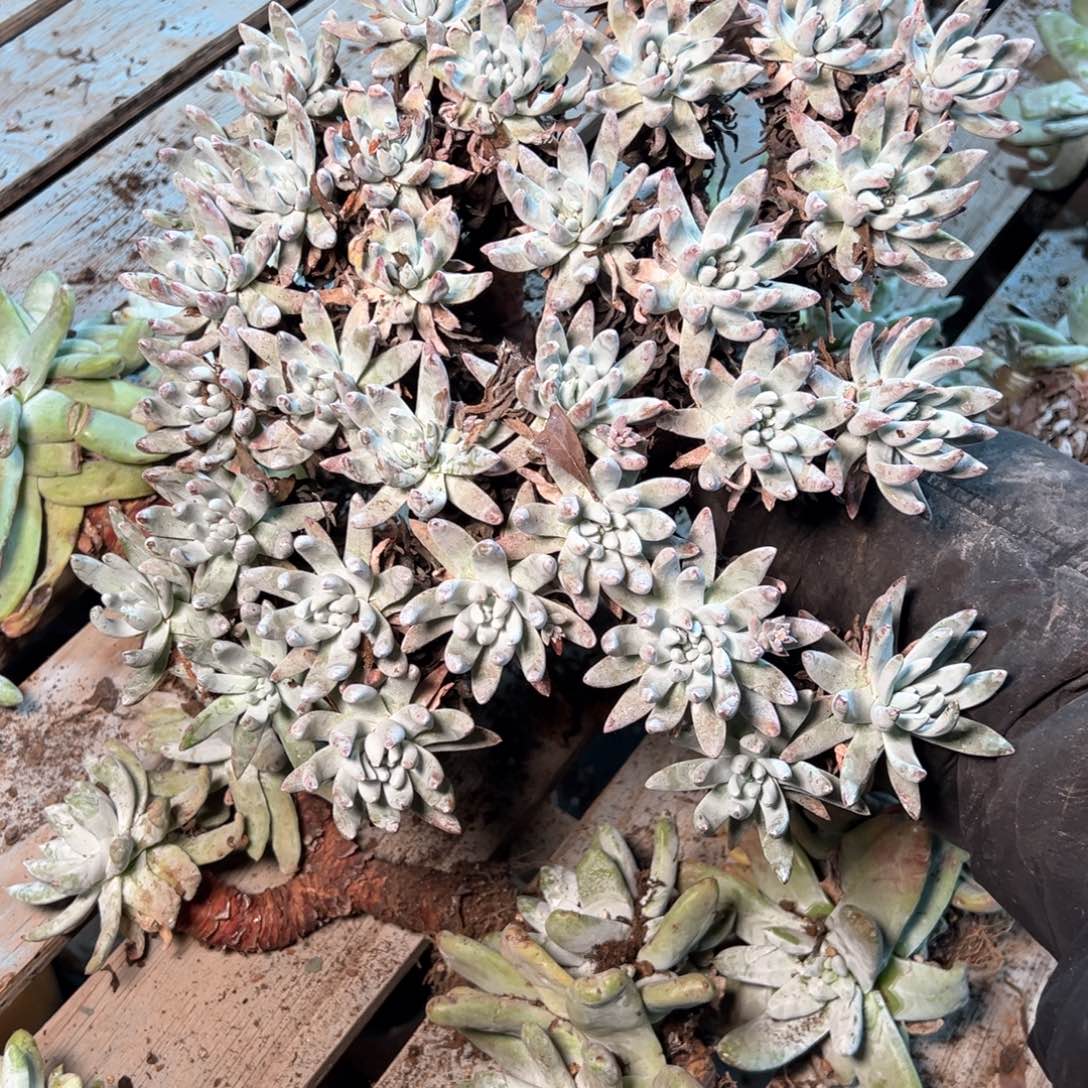 7349哈哈哈哈哈哈哈