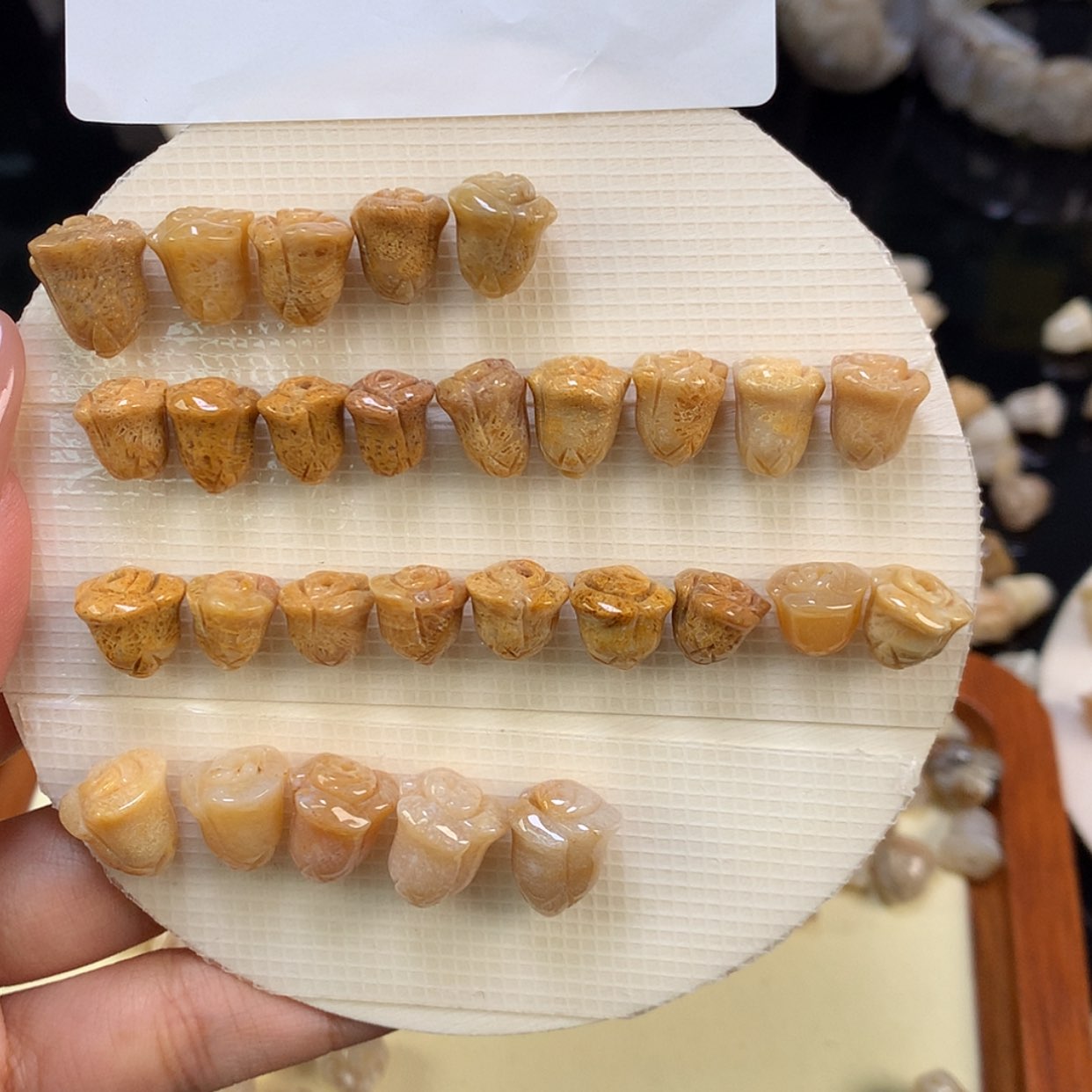 【闪购商品】颈饰未镶嵌硅化珊瑚（珊瑚玉）我***肉
