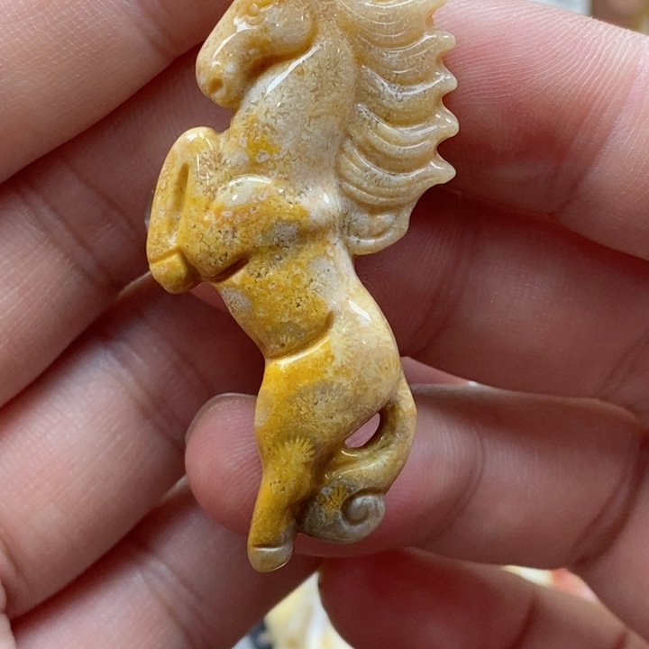 硅化珊瑚（珊瑚玉）颈饰未镶嵌