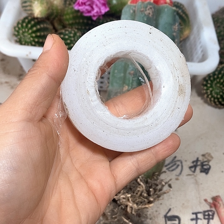 嫁接膜一卷包邮了