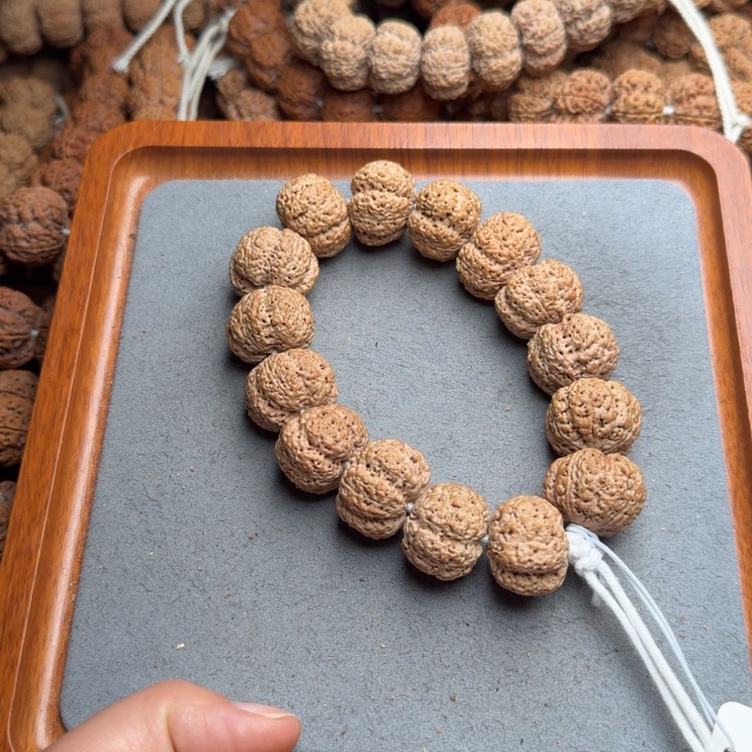 菩提菩提16号尼泊尔大金刚23菠萝蜜