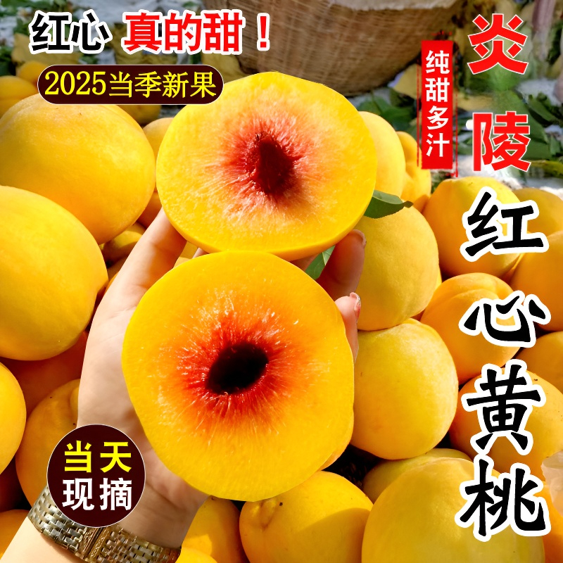 正宗炎陵黄桃水果新鲜现摘现发当季整箱桃子湖南锦绣红心桃子5斤