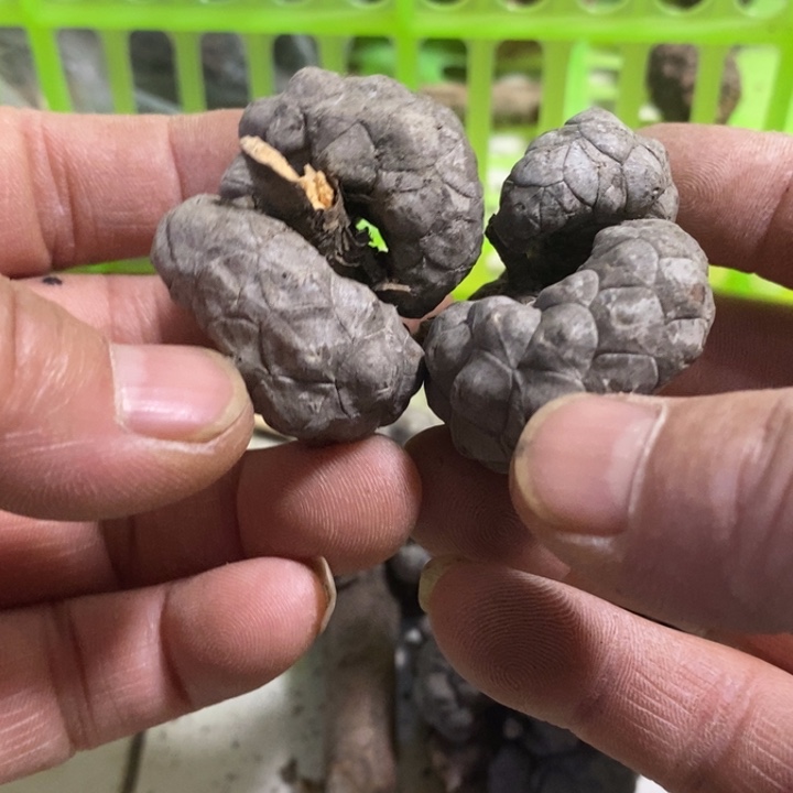 文玩核桃吊坠东北特产7