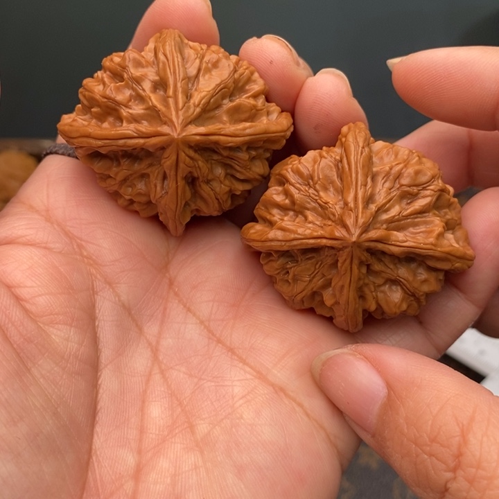 核桃野生四棱45尺核桃