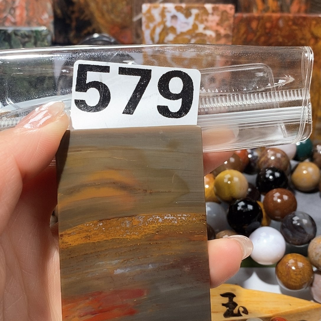 未镶嵌天然北票树化玉吊坠硅化玉