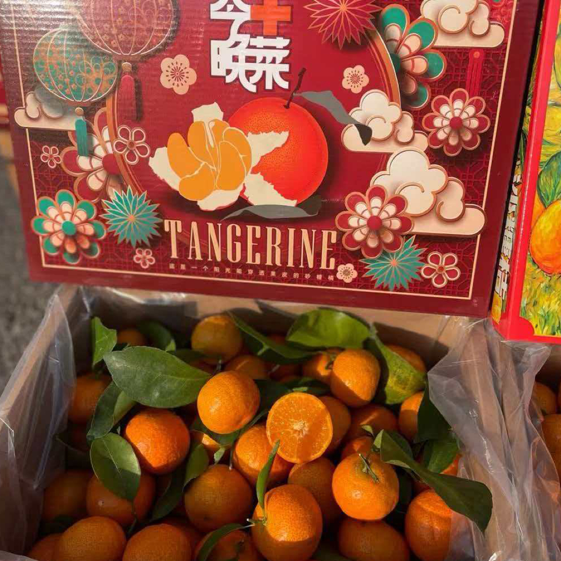 【军哥严选】“今晚+菜”广东四会砂糖橘5斤净重