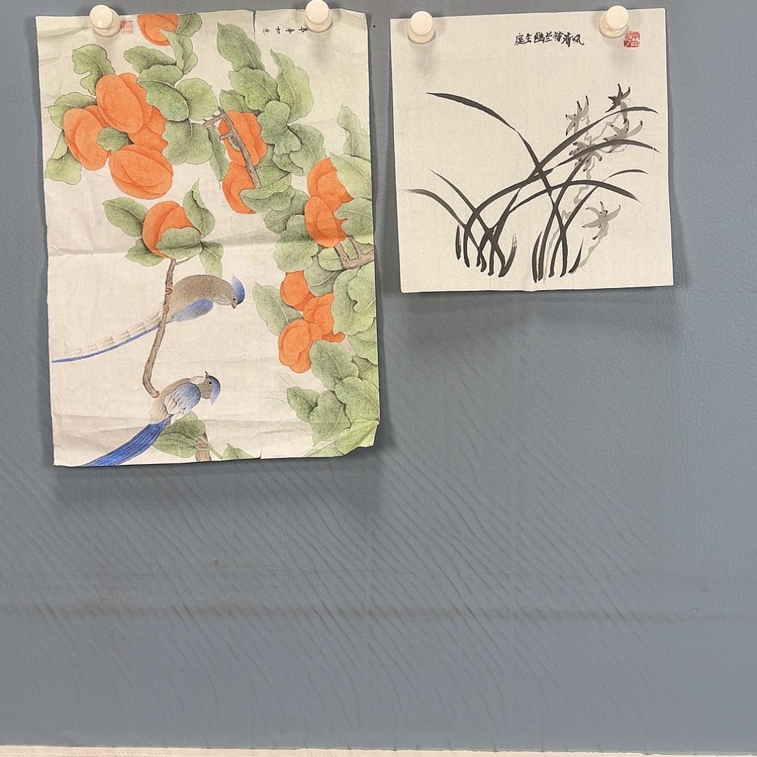 国画337 牡丹一如您的脸颊美丽的