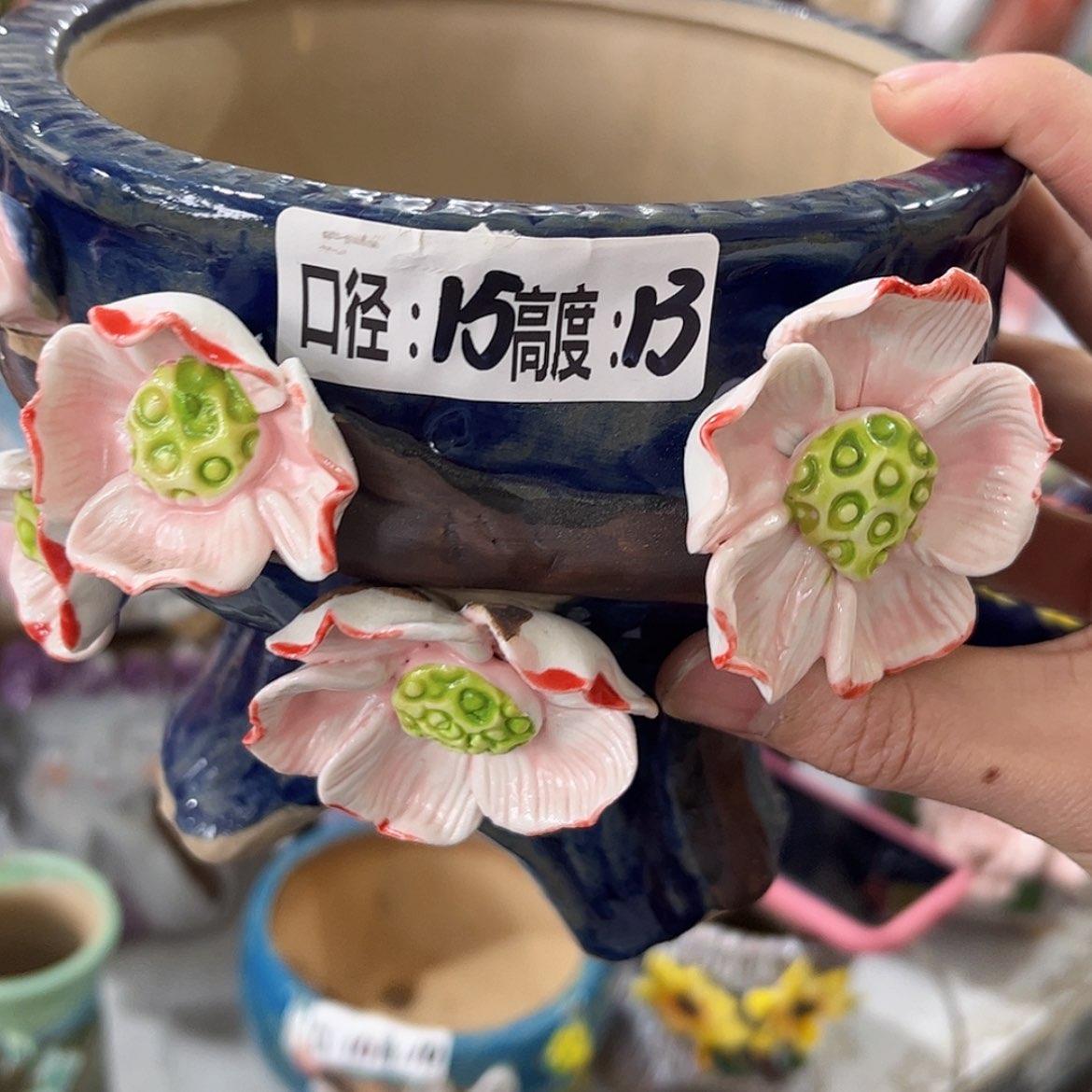 【闪购商品】红陶福利