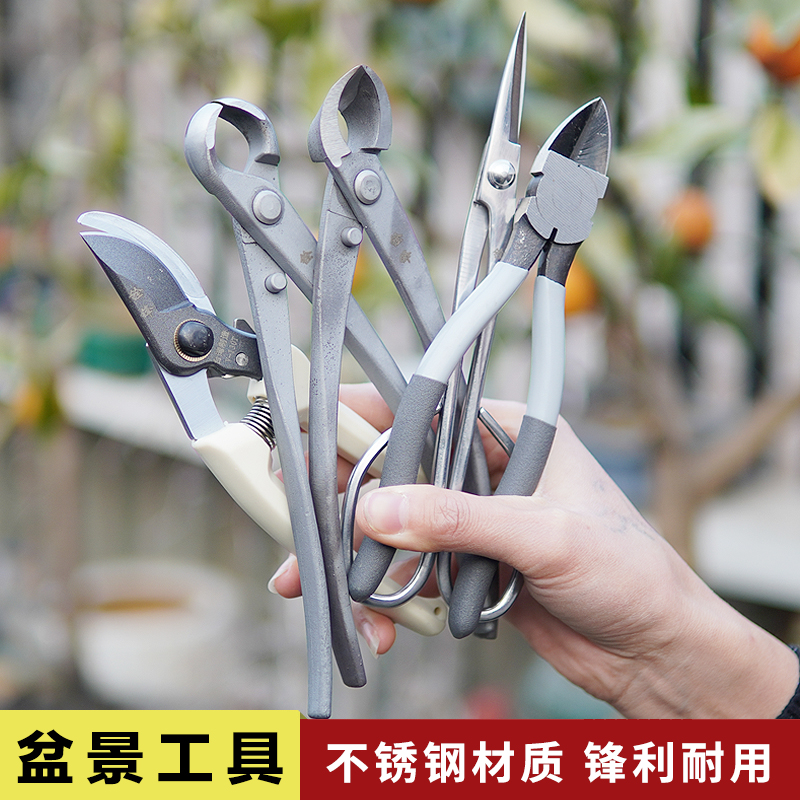 辛禾不锈钢 盆景球节剪球钳盆栽树瘤修剪钳园艺制作造型养护工具