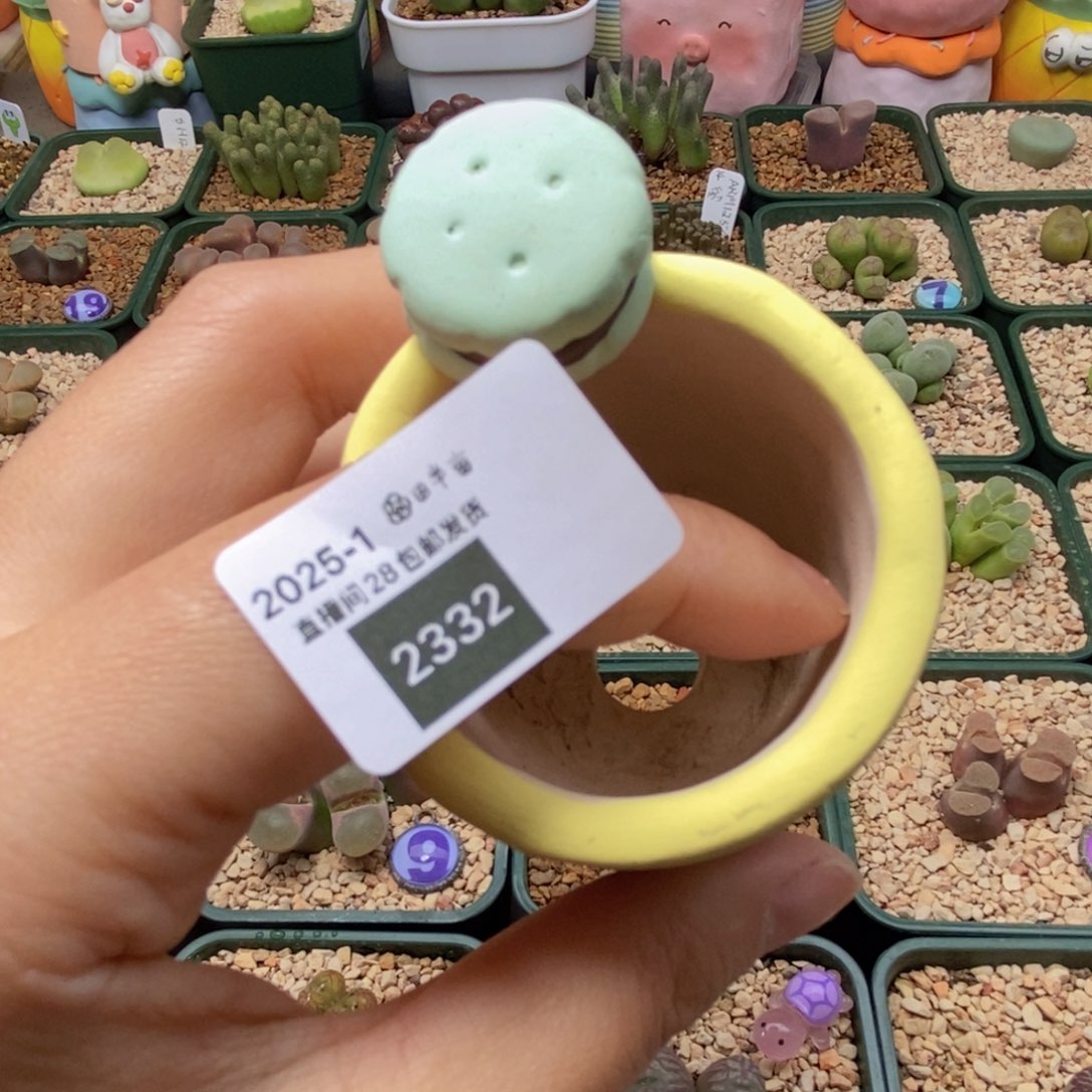 2332.盆盆盆盆盆盆