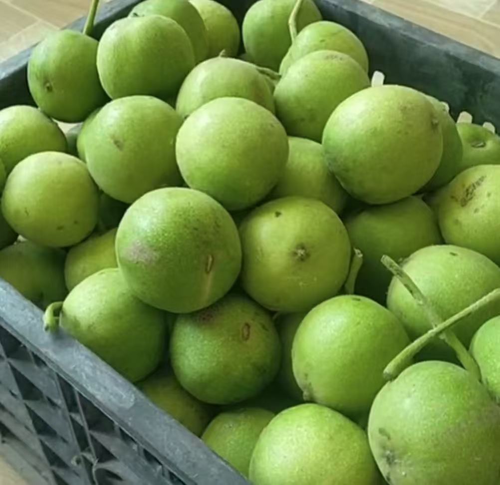 青皮代开不退不换  天门   oi5656332