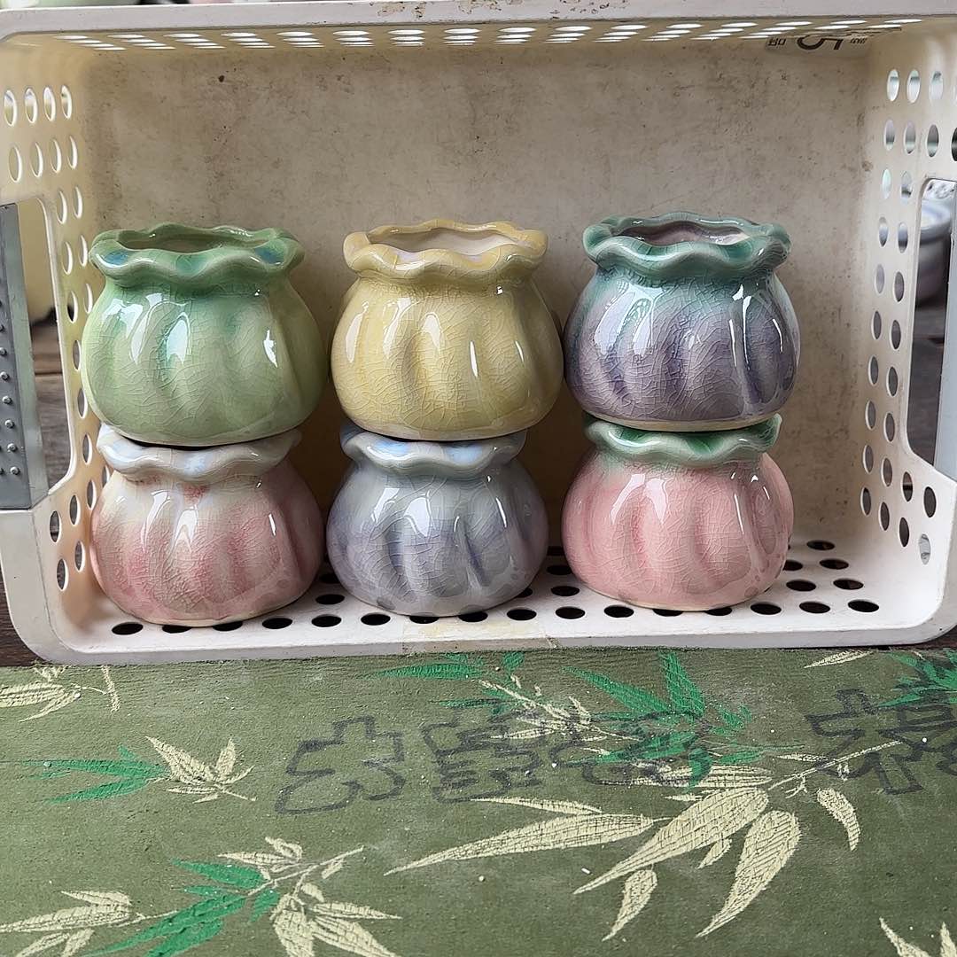 梦****量货/口4高5深浅搭配发6