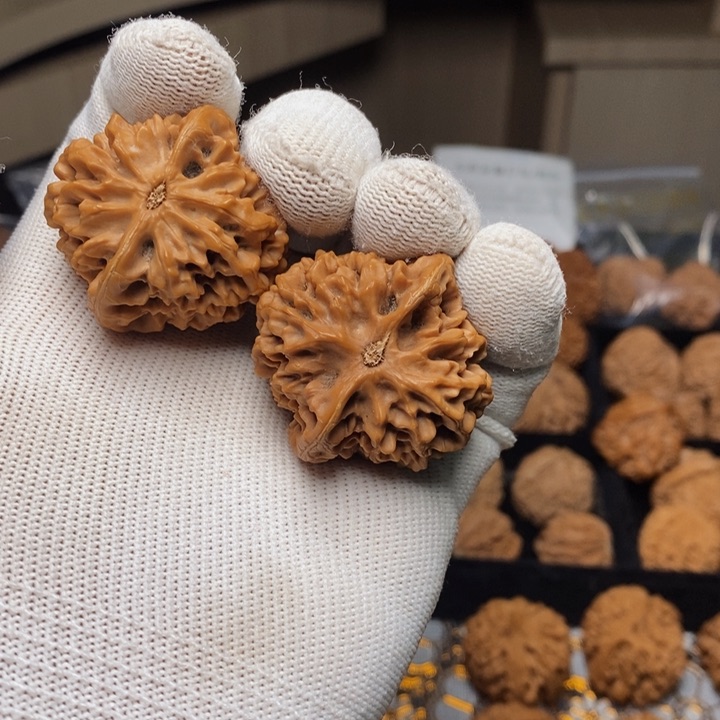 文玩核桃把件豆*秦岭秦闷