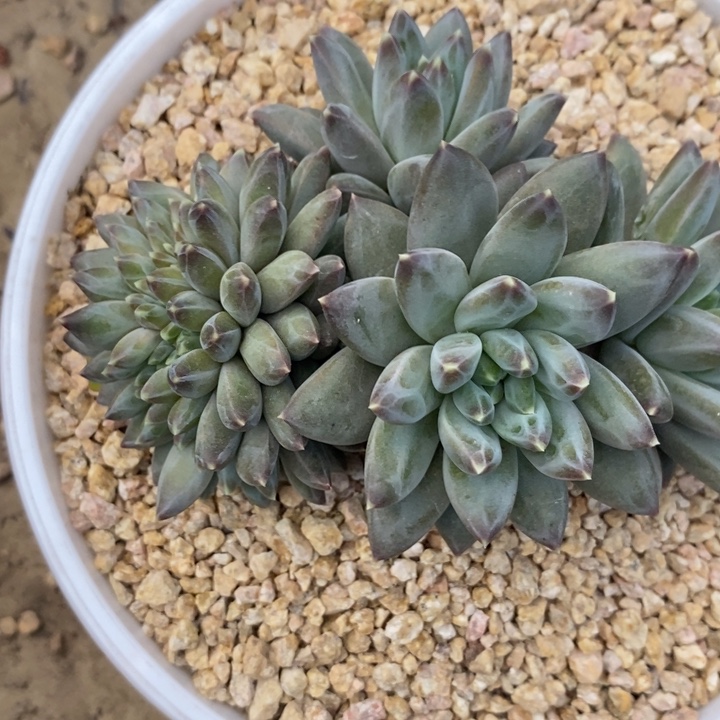 咱***肉888888888888888888