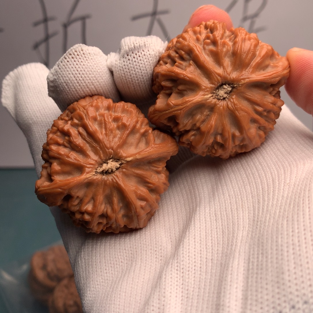 8***水宫灯40年被选到英国剑桥