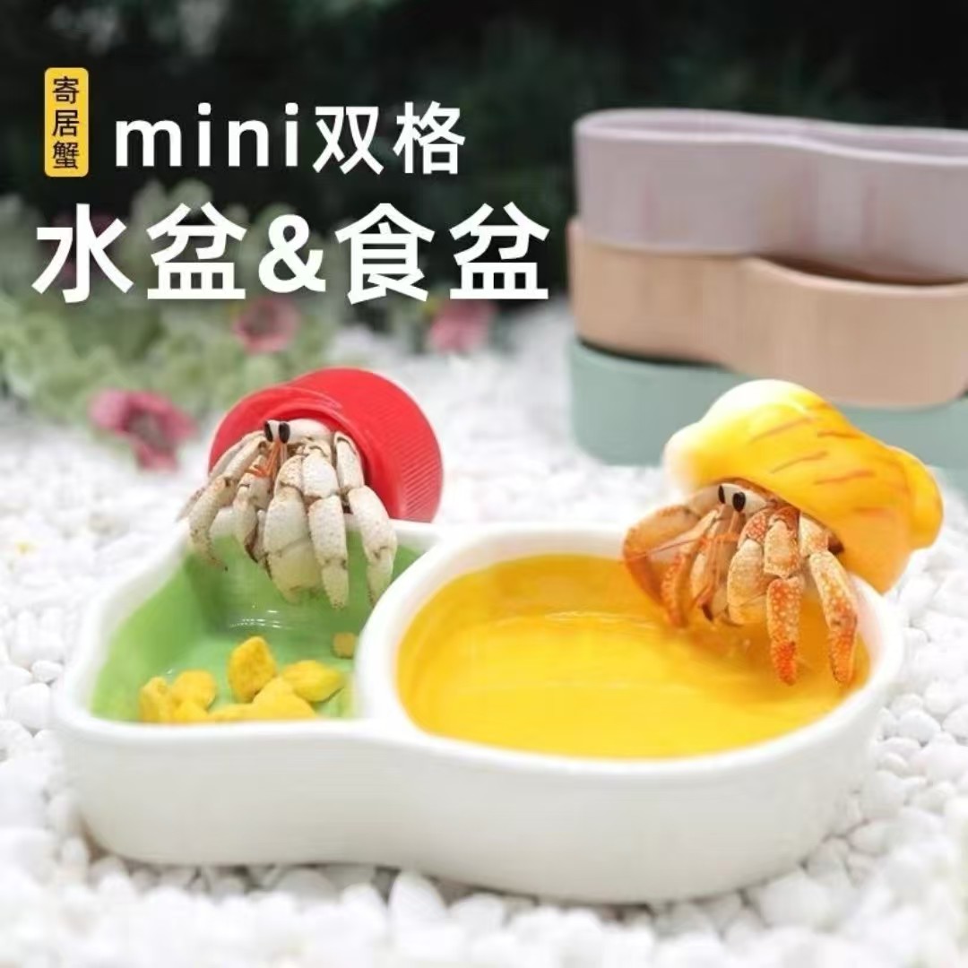 寄居蟹仓鼠鹦鹉沙蟹陶瓷食盆水盆