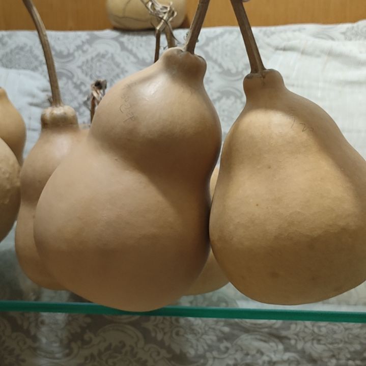 一***哥藤家居饰品家居饰品