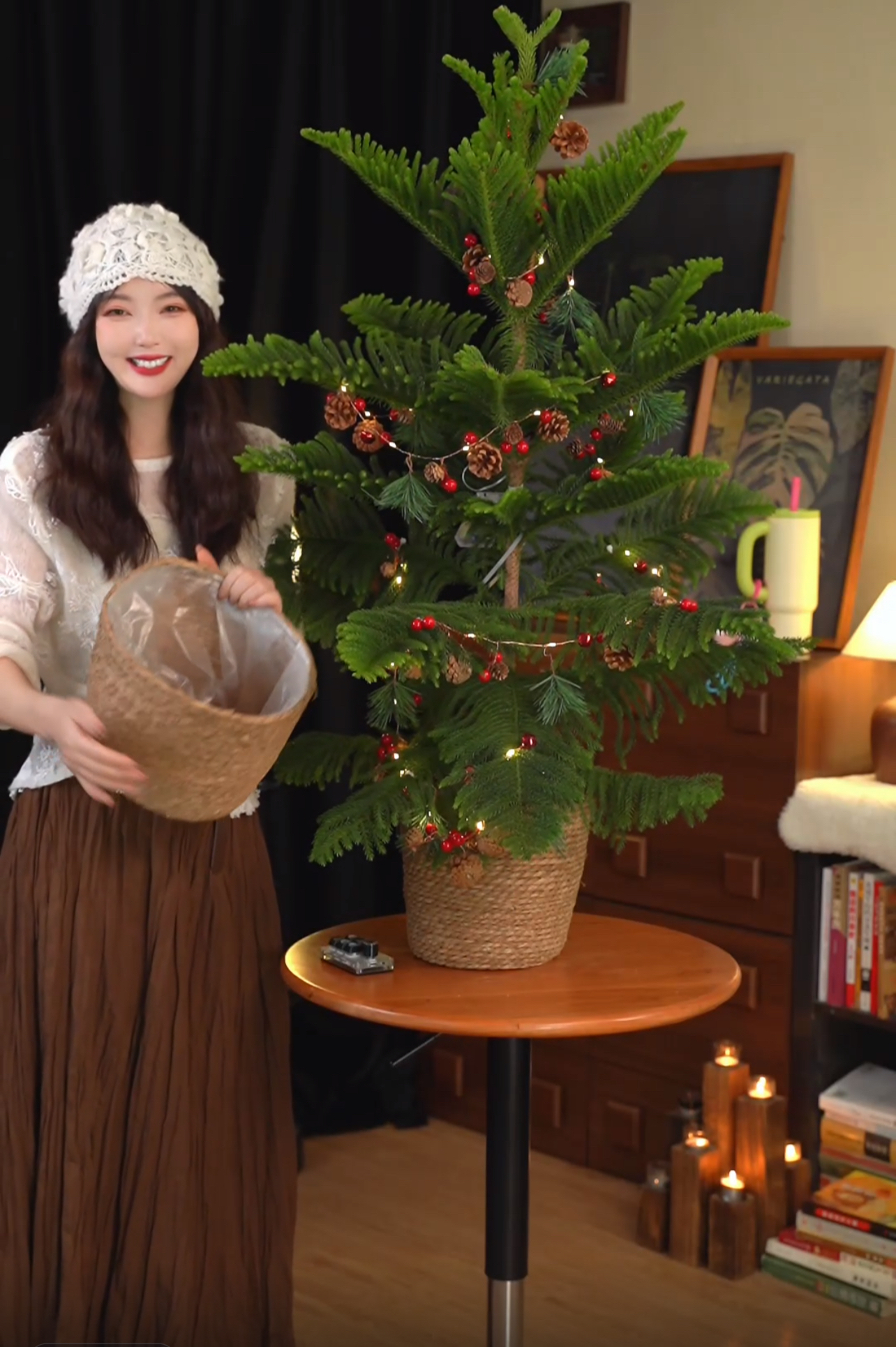 【高颜值氛围南洋杉】圣诞树室内节日氛围网红绿植盆栽