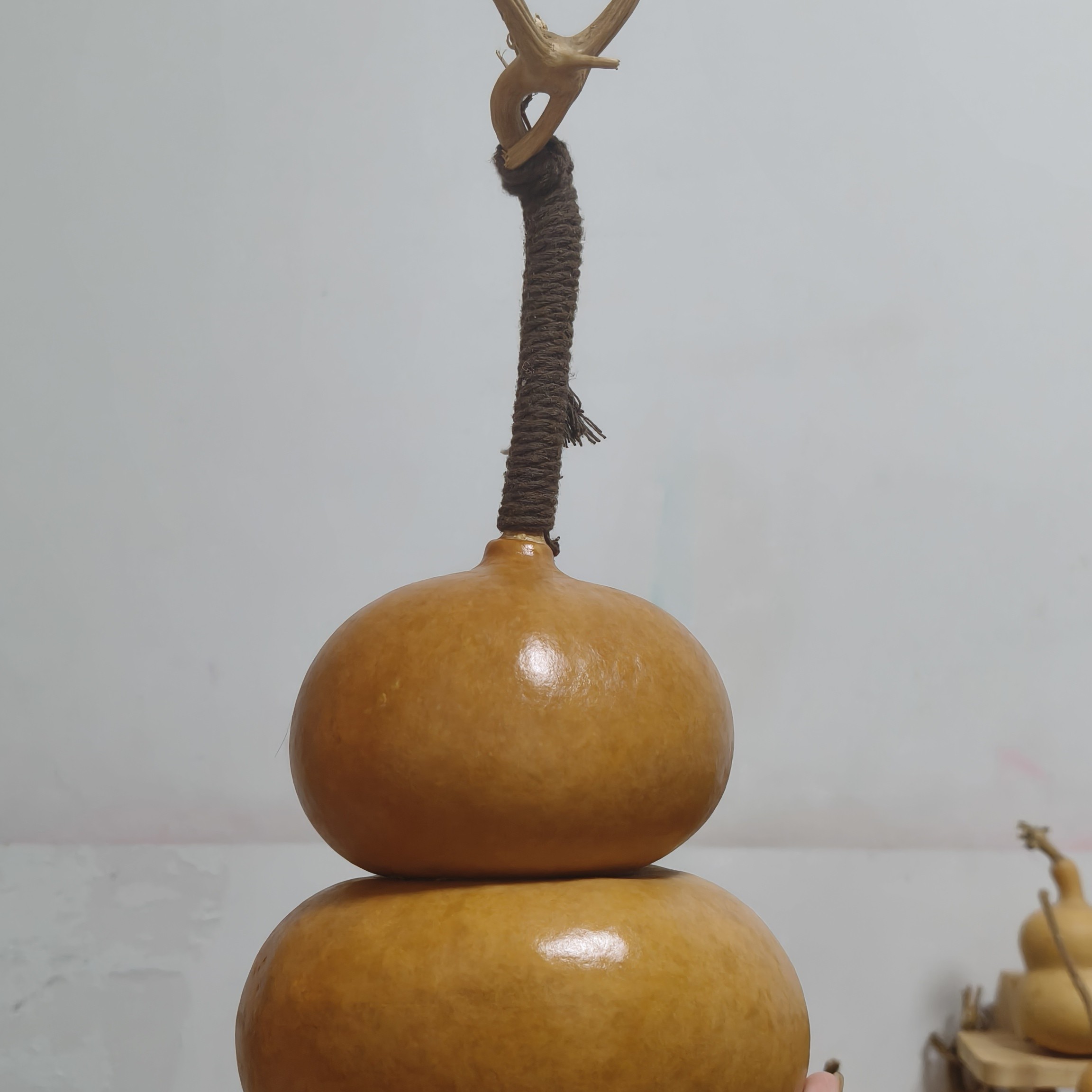 3号直播专用链接纯天然葫芦