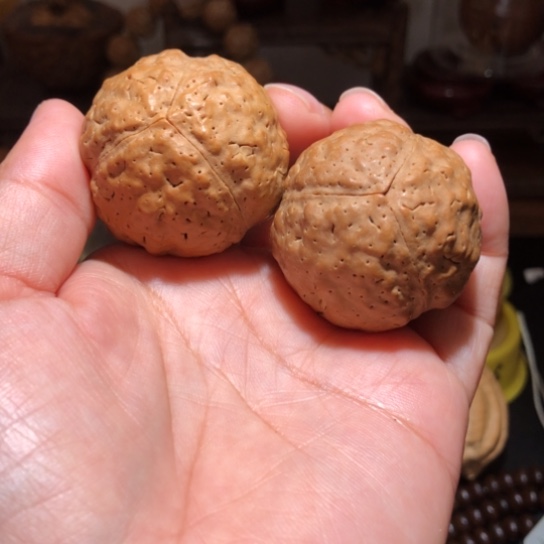 吊坠金刚菩提疙瘩龙金刚