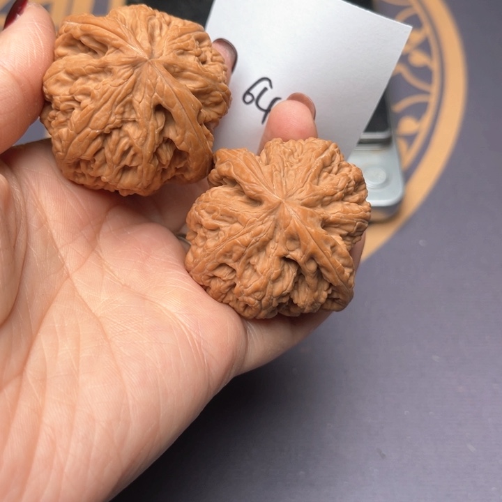 文玩核桃把件44粗筋 64号